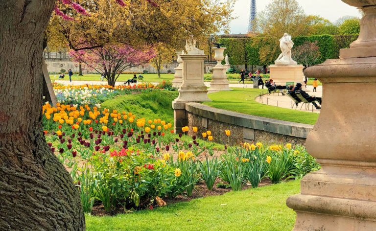 Scopri di più sull'articolo INTRODUZIONE – I giardini nel mondo