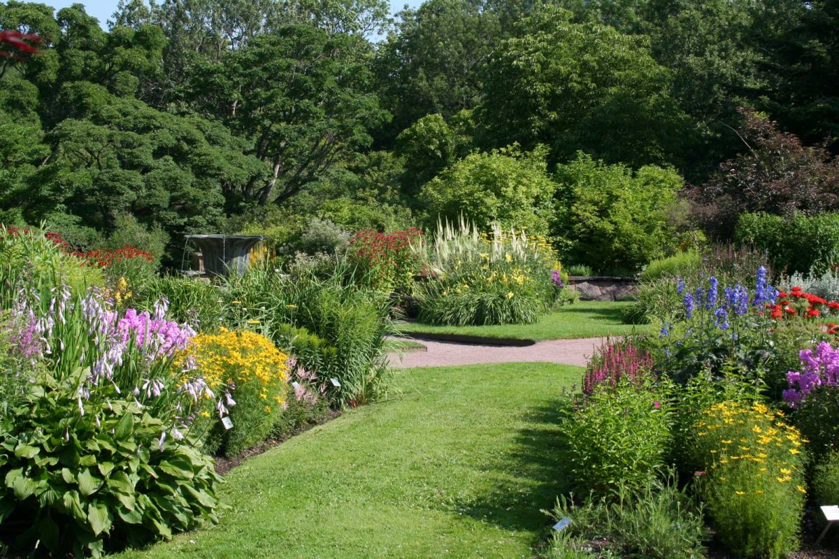 INTRODUZIONE – La pianta giusta al posto giusto