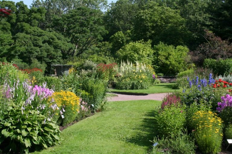 Scopri di più sull'articolo INTRODUZIONE – La pianta giusta al posto giusto