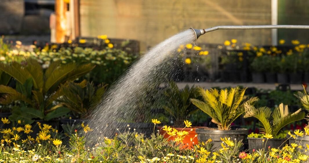 Al momento stai visualizzando Sistemi d’irrigazione e qualità dell’acqua