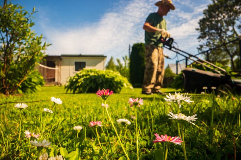 Read more about the article Jobs of the month: gardens and terraces in August