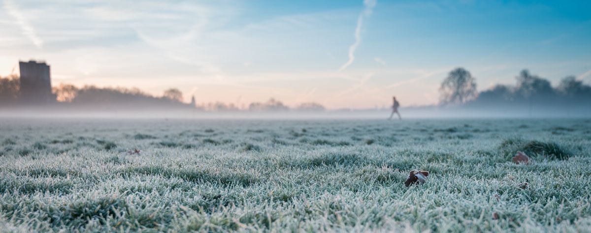 Al momento stai visualizzando Malattie fungine del prato in autunno-inverno