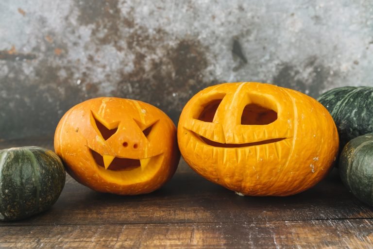 Scopri di più sull'articolo La Zucca: proprietà e curiosità della regina di Halloween